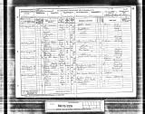 Burtenwood, Adolphus Census 1891
